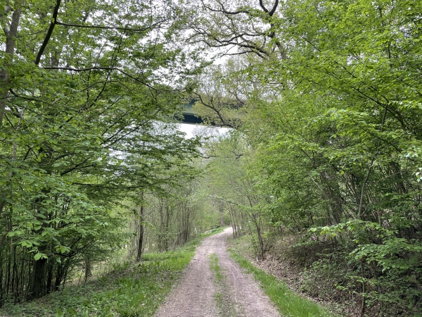 Notre chemin passe sous le viaduc du radier d'Aclou. On se demande pourquoi le circuit officiel passe par la route !