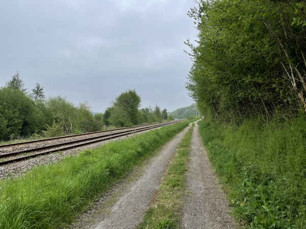 Le chemin longe la voie ferrée, avant de monter un peu sur le coteau. Ce chemin est l'ancienne route d'Aclou.