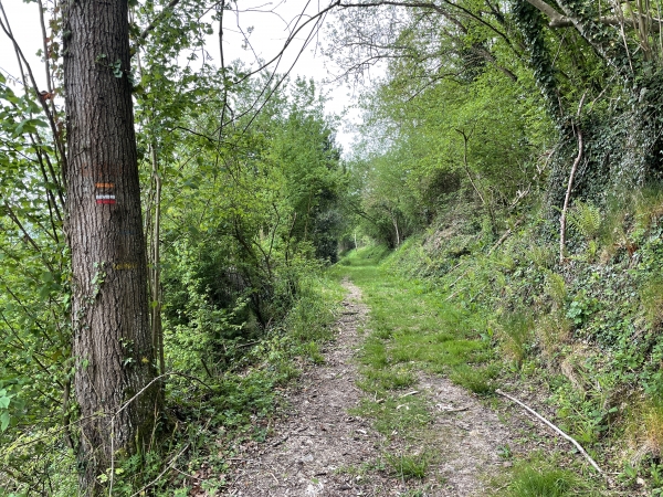 Comme on le voit, nous sommes toujours sur le GR26. Nous allons le quitter bientôt pour traverser la Risle.