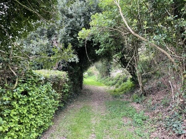 Dans Fontaine-la-Soret, des chemins permettent de rejoindre la voie ferrée.