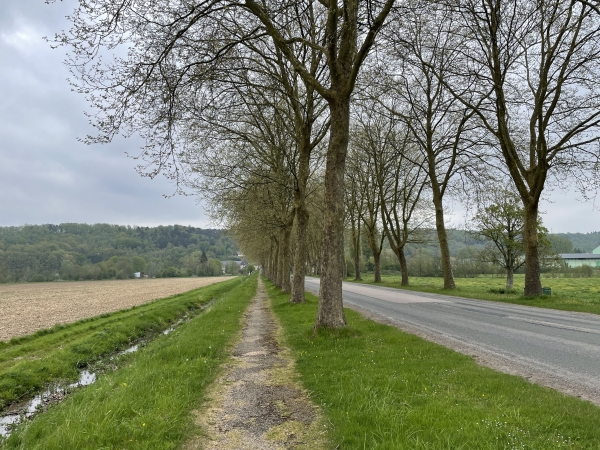 Nous suivons la Chaussée du Roy pour traverser la vallée jusqu'à la Rivière-Thibouville.