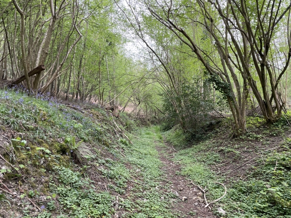 Le chemin qui monte vers Feuguerolles ne rayonne pas par son bon entretien, mais ne présente pas de difficulté.
