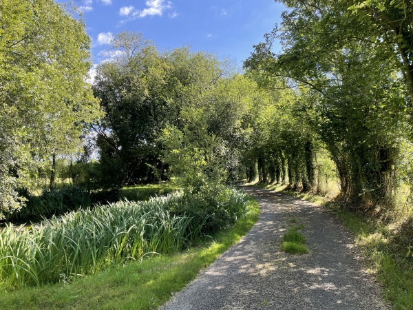 Je quitte le hameau du Vallet par ce charmant chemin de la Thibouvière.
