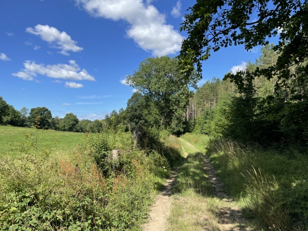Mon chemin avance maintenant en lisière du bois des Chesnaies en direction du hameau Saint-Martin.