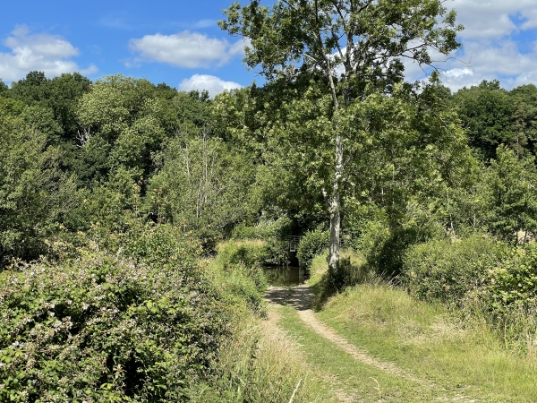Sur ma gauche, on voit une passerelle sur la Charentonne. Cette passerelle permet de raccourcir le circuit. Il fait beau, la balade est sympa, je continue vers la route du Calvaire Saint-Martin.