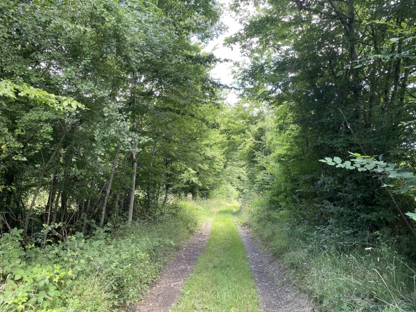 Mon chemin longe maintenant le Parc du château de Cernières.