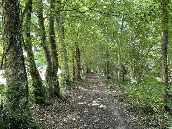 Chemin en lisière du bois de la Côte.