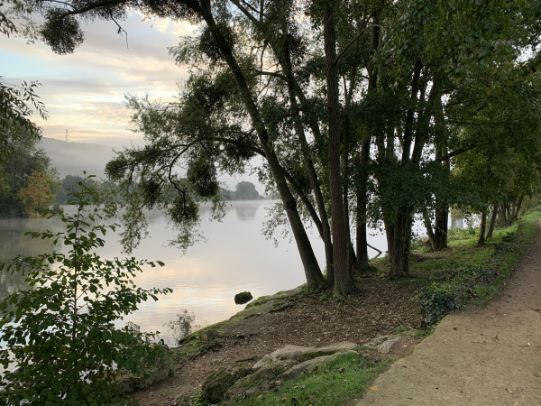Nous sommes maintenant sur cette belle promenade aménagée le long de la Seine. Nous sommes en face de l'Île Corday, la promenade est un délice et justifie à elle seule ce circuit.