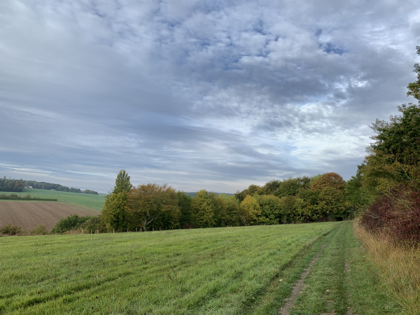Nous ne traversons pas Blaru, et quittons le GR26 en restant sur l'ancienne voie ferrée et en entrant à nouveau en forêt ici.