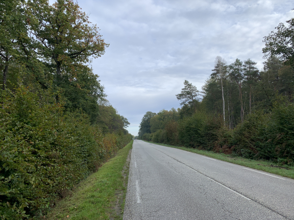 Nous avons quitté l'ancienne voie ferrée. Nous ne pouvons éviter la route d'Ivry sur 1 kilomètre, en raison des bois privés à droite et à gauche de la route.