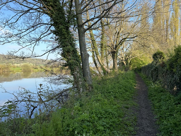 Le chemin de Halage devient plus sauvage après avoir quitté Pressagny-l'Orgueilleux.