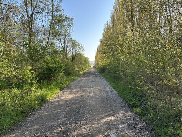 Nous traversons la plaine alluviale entre les anciennes gravières, devenues des étangs de pêche.