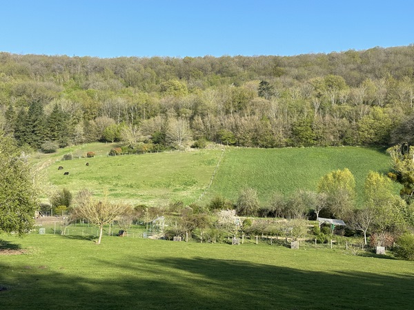 Coup d'œil sur la vallée du ruisseau Sainte-Geneviève depuis la D8.