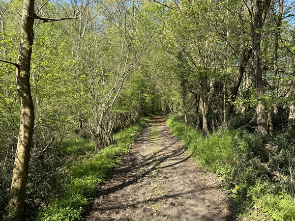 Après la Ferme Neuve, nous retrouvons la forêt de Vernon.