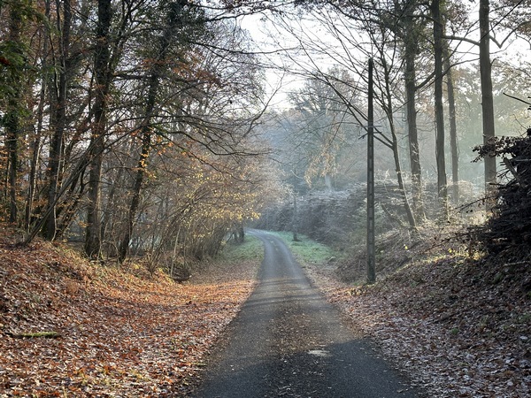 Entre le bois du Moulin de Fresney et le bois de Broglie, nous suivons la petite route du Prieuré qui se termine en chemin.