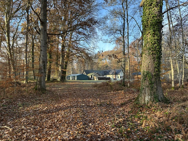 Nous arrivons à la Pierre l'Ormée (ou pierre du sacrifice). Devant nous se trouve l'ancienne maison du garde des princes de Broglie, désormais abri de chasseurs. Nous n'avons pas vu la fameuse pirre.&nbsp;