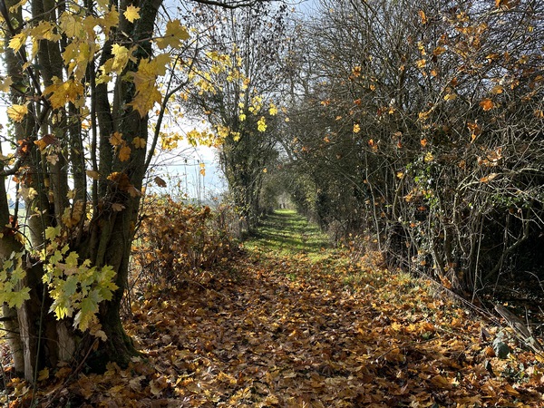 Nous suivons maintenant les chemins et petites routes qui longent la D49.