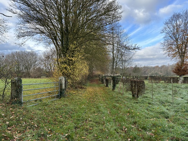 Nous avons retraversé la D49 au niveau du hameau de la Bilheudière.