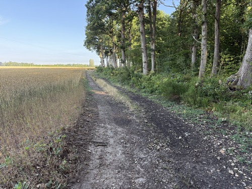 Nous partons du parking de l'Aire de la Motte Féodale, suivons la rue Jeanne de Tilly et montons pour contourner le bois du Petit Parc.