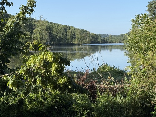 Ancienne gravière à proximité de la Grosse Forge.