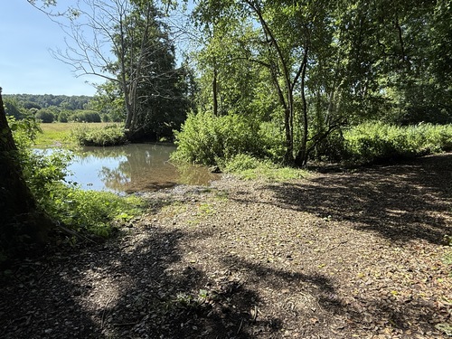 Voici le gué qui a donné son nom au chemin. Il permet de rejoindre les champs qui se trouvent entre la rivière et le canal de l'ancien moulin du Fossard.