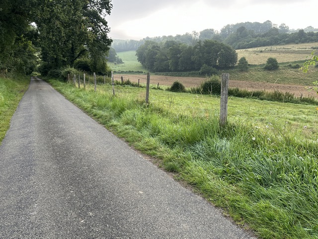 Nous traversons le Fond de Bruquedalle, petit vallon aux coteaux boisés.