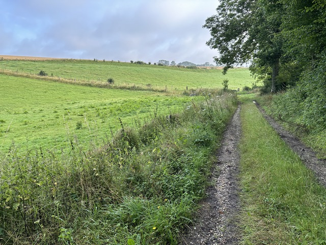 Nous suivons maintenant le chemin de la Chasse-Marée (au féminin !) dans la Terre de Bois-Gautier.