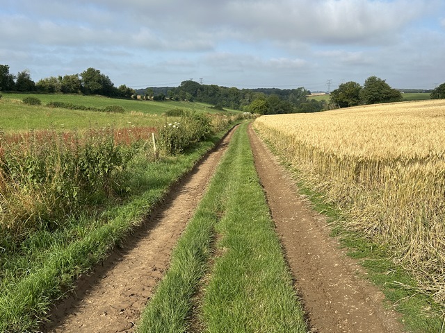 Nous quittons le chemin de la Chasse-Marée pour tourner vers l'ouest en direction du Bois du Paon.