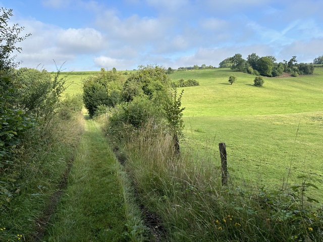 Le circuit&nbsp;« Dans les Bois », dont le tracé est proche du nôtre, va tourner vers Bois-Guilbert. Nous, nous continuons vers le hameau de la Gloë.