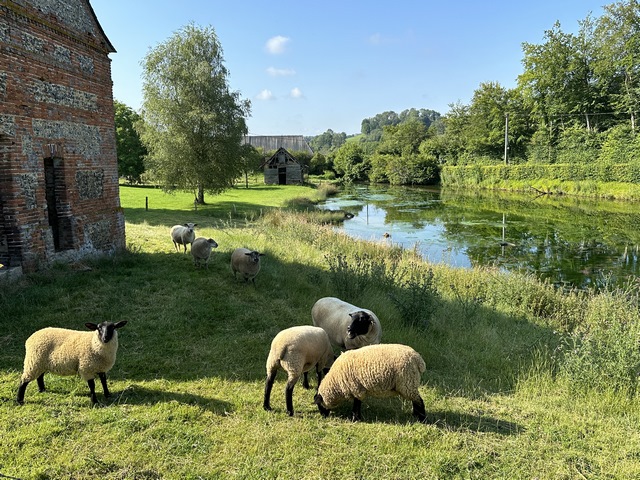 Scène de la douce vallée du Héron.