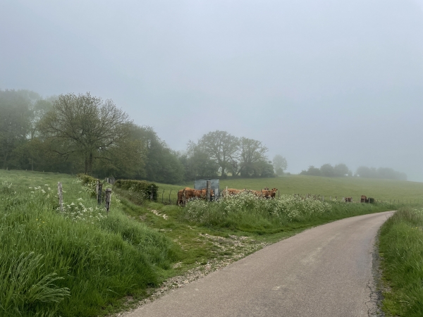 Nous quittons la D87 pour suivre le chemin qui monte à gauche.