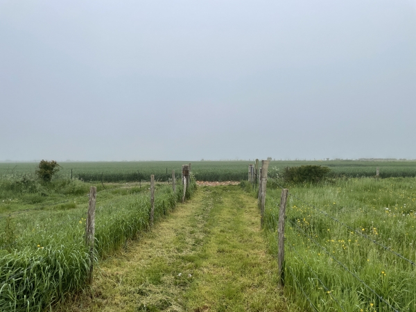 Nous sommes sur le plateau, au lieu-dit Tous Vents, et allons prendre ce nouveau chemin sur la gauche.
