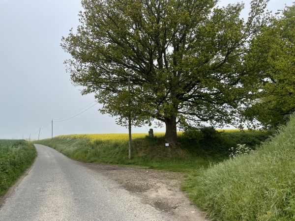 Nous quittons la rue du poète rouennais pour tourner à droite sur ce chemin. En face, on distingue un vieux calvaire. La photo du calvaire est dans l'album de la randonnée.