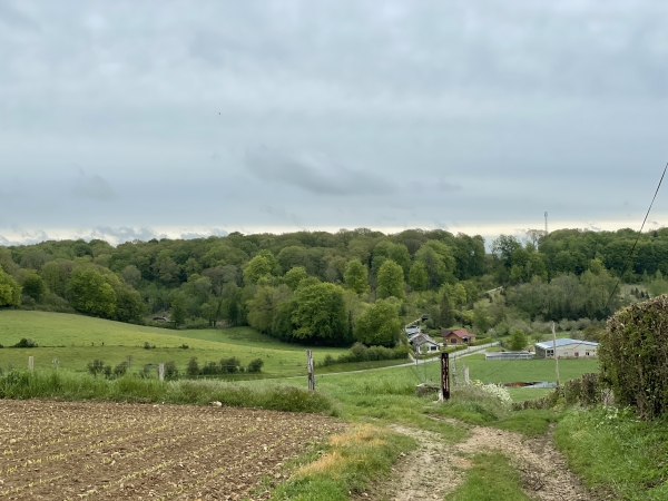 Le chemin, à la sortie de Saint-Aignan-sur-Ry, domine ici le vallon qui se glisse entre les bois de Quenville et de la Côte aux Landes. Nous allons le traverser et continuer en face.