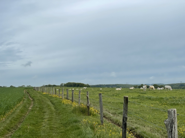 Nous avons rejoint la Côte aux Landes au Haut-Tot.