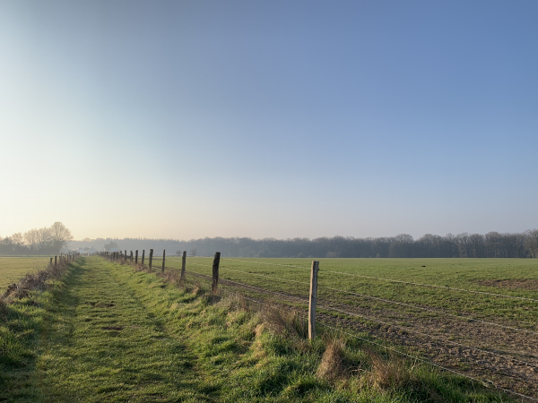 Dès la sortie du bourg, nous arrivons sur le chemin de la Messe et marchons en direction du bois de Beaulieu.