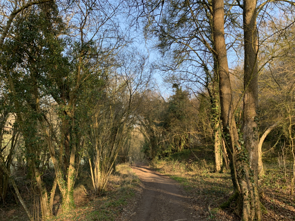 Les bois se succèdent, nous sommes maintenant dans le bois des Chartreux, et même en hiver le chemin est très agréable.