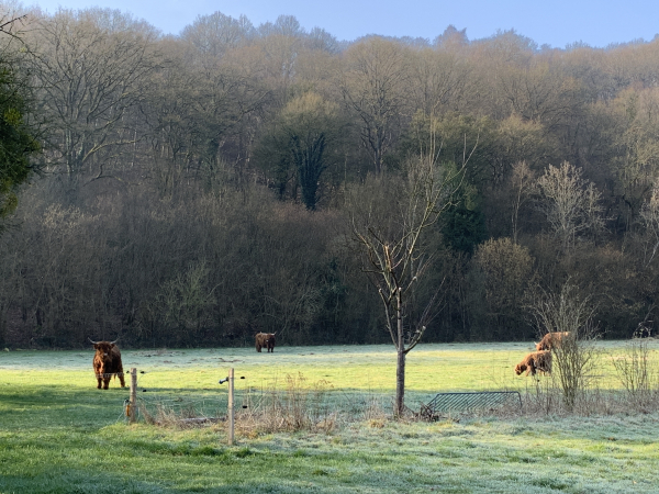 Nous allons quitter le vallon pour monter sur le plateau en suivant le GR25.