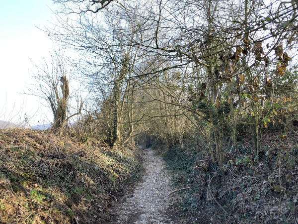 L'entrée du sentier, que suit le GR25 pour monter vers le plateau, ressemble plus à un fossé qu'à un chemin. Mais après quelques mètres, on constate qu'il est entrenu, du gravier a été déposé et les talus ont été taillés. En arrivant au sommet, à notre grande surprise, on voit une canalisation qui se déverse directement dans le chemin creux que suit le GR25 ! En période humide, le chemin doit se transformer en rivière !