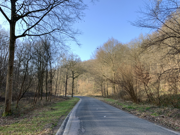 Pour fermer la boucle, nous devons suivre la D491 sur 2km... Nous avons résisté à la tentation de suivre le chemin parallèle dans le bois Hyot qui n'est pas clôturé mais indiqué comme privé.