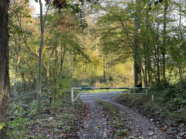 Le chemin rejoint la D13, nous allons la suivre sur la droite.