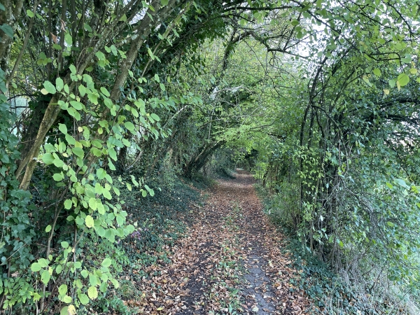 Nous avons quitté le chemin des Puits pour suivre, juste à côté, le délicieux Chemin des Randonneurs, ancienne voie ferrée de Charleval à Serqueux.