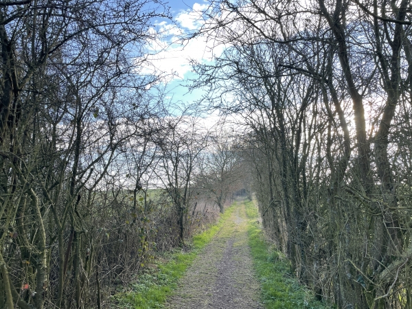 Nous partons du centre de Buchy, et marchons vers l'est sur le chemin qui avance vers Bosc-Roger-sur-Buchy.