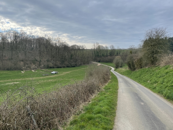 Nous n'entrons pas dans Bois-Héroult, et continuons vers le sud sur le chemin de La Quesne.