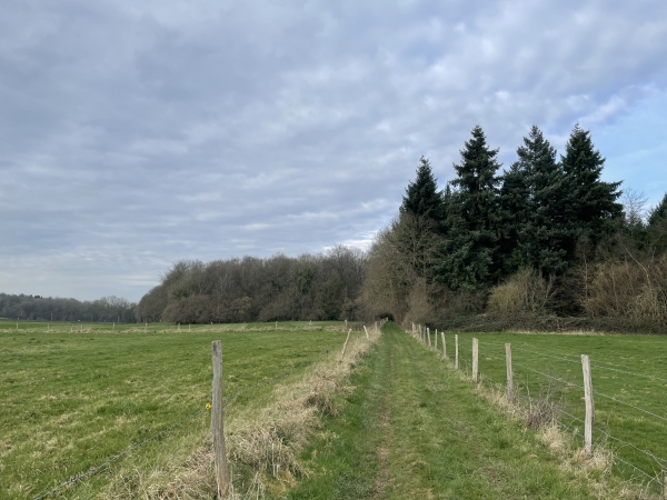 Avant d'arriver au lieu-dit de La Quesne, nous tournons vers l'ouest en direction du bois du Vieux Château de Chef-de-l'Eau.