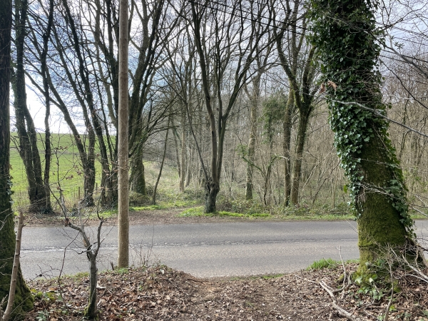 Nous traversons la D41 et continuons sur le chemin en face.