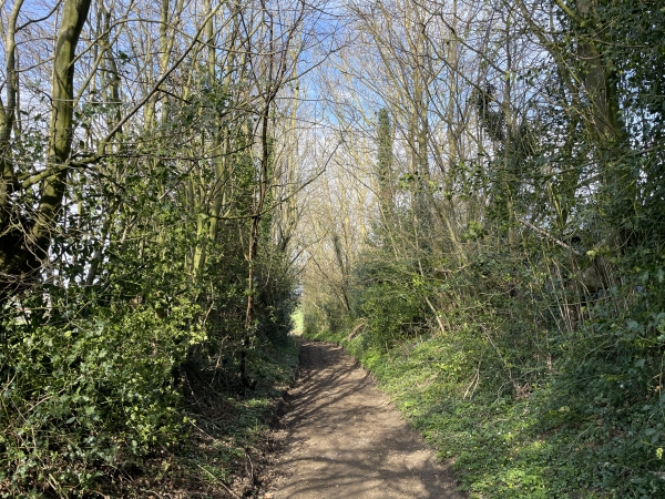 Aux Petits Bordeaux, nous rejoignons le chemin du Chasse-Marée que nous allons suivre jusqu'à Buchy. Droit devant nous, à 43 km, se trouve le départ de ce Chasse-Marée : Dieppe.