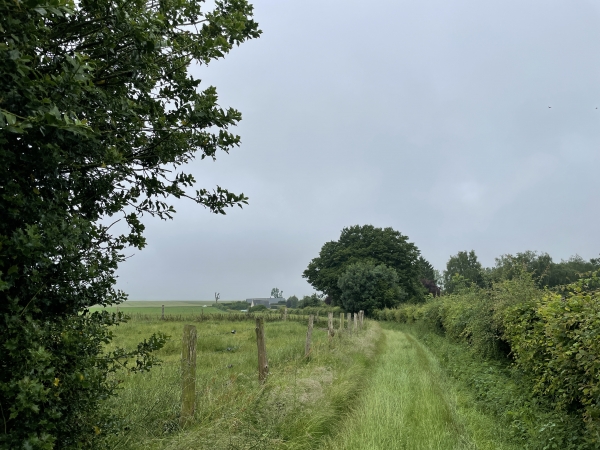 Sente aux Pinchons. Nous allons quitter le GR25 pour tourner vers l'est.