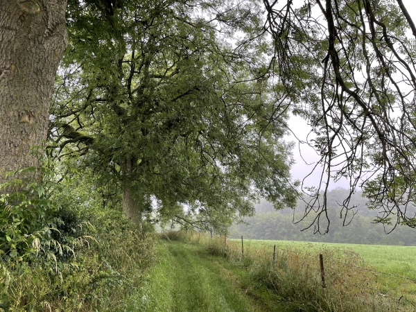 Chemin de la Marnière Claquet.