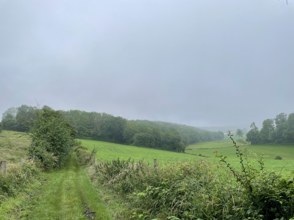 L'ancienne marnière se trouvait au fond du vallon.